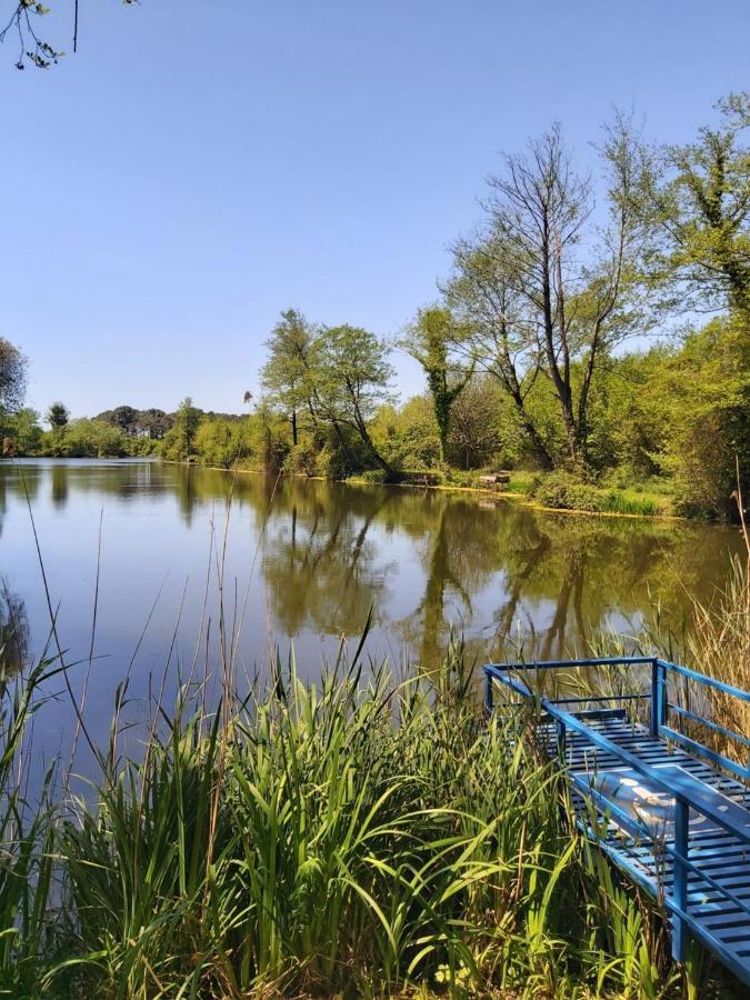 Geo Palace Kolkheti National Park Pʼotʼi Dış mekan fotoğraf